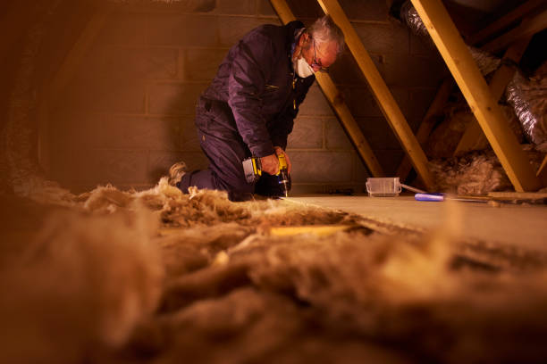 Best Cellulose Insulation in Boscobel, WI