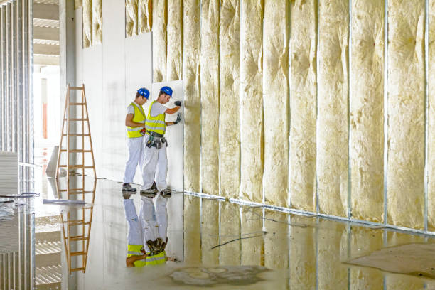 Best Residential Insulation in Boscobel, WI